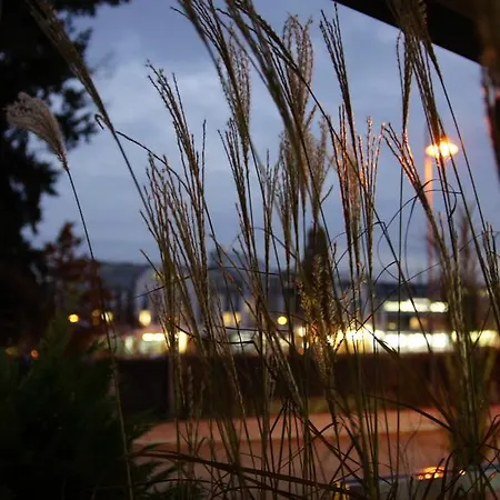 酒店 格斯索夫奥泽特酒店